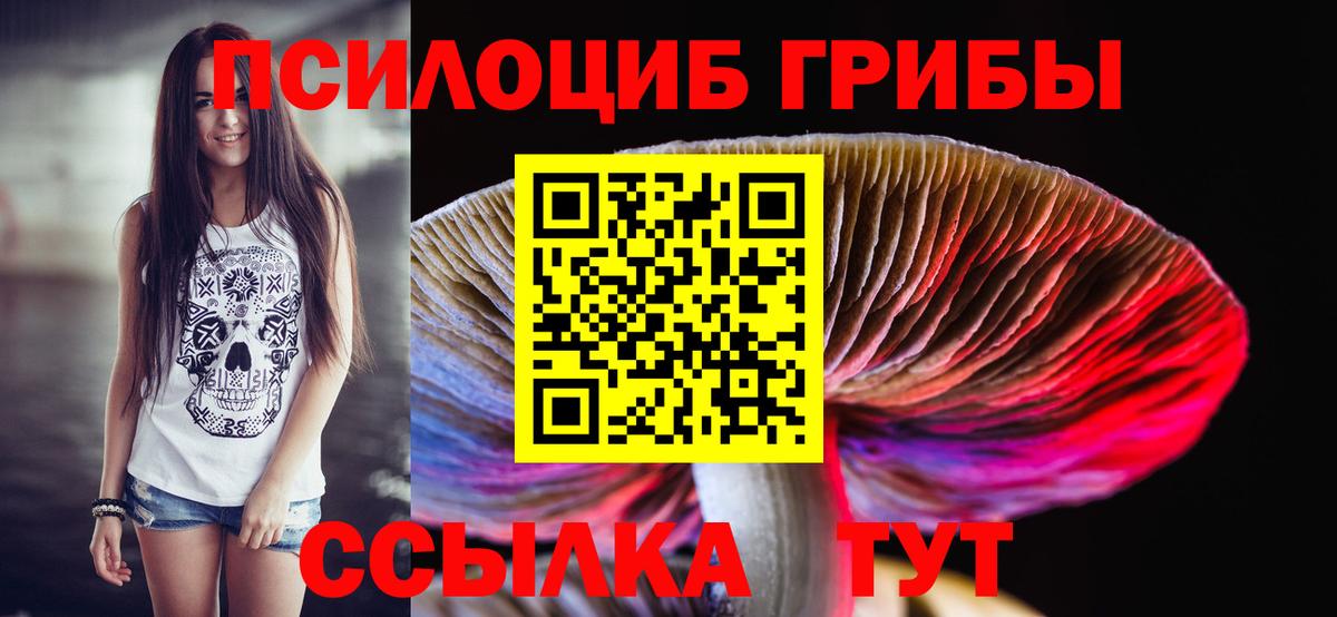 Псилоцибиновые грибы мицелий  Вход с VPN  сколько стоит  Камышин 